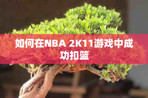 如何在NBA 2K11游戏中成功扣篮