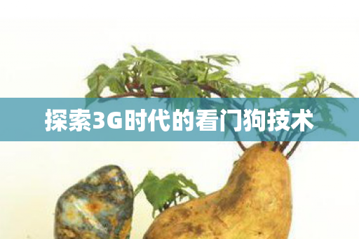 探索3G时代的看门狗技术