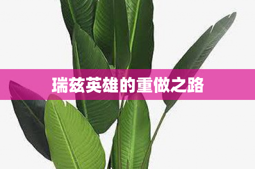 瑞兹英雄的重做之路