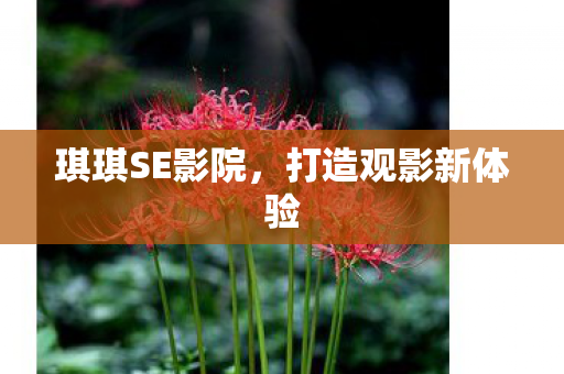 琪琪SE影院，打造观影新体验