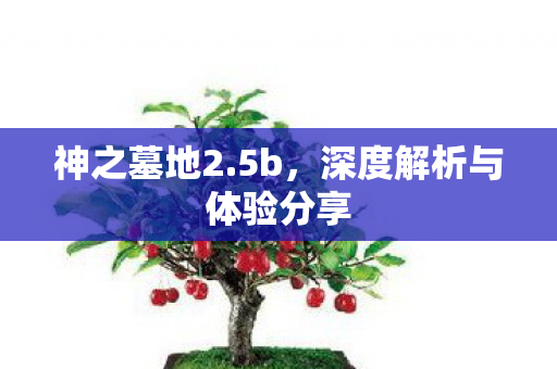 神之墓地2.5b，深度解析与体验分享