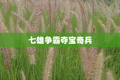 七雄争霸夺宝奇兵