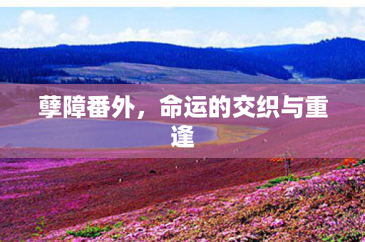 孽障番外，命运的交织与重逢