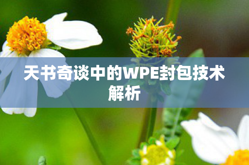 天书奇谈中的WPE封包技术解析