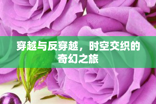 穿越与反穿越，时空交织的奇幻之旅