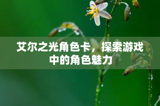 艾尔之光角色卡，探索游戏中的角色魅力