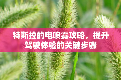 特斯拉的电喷雾攻略，提升驾驶体验的关键步骤