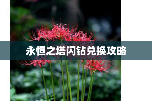 永恒之塔闪钻兑换攻略