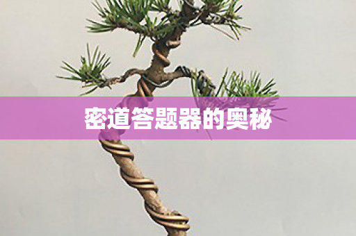 密道答题器的奥秘