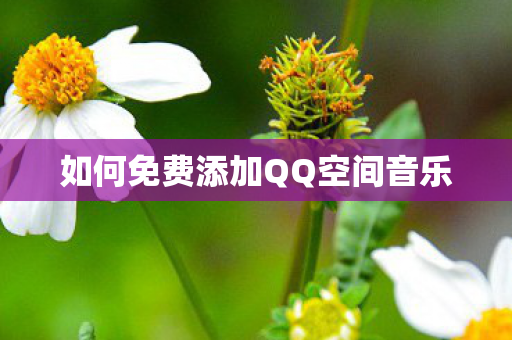 如何免费添加QQ空间音乐 如何免费添加QQ空间音乐