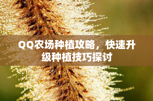 QQ农场种植攻略,快速升级种植技巧探讨 QQ农场种植攻略,快速升级种植技巧探讨