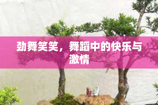 劲舞笑笑，舞蹈中的快乐与激情