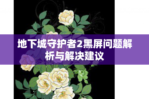 地下城守护者2黑屏问题解析与解决建议
