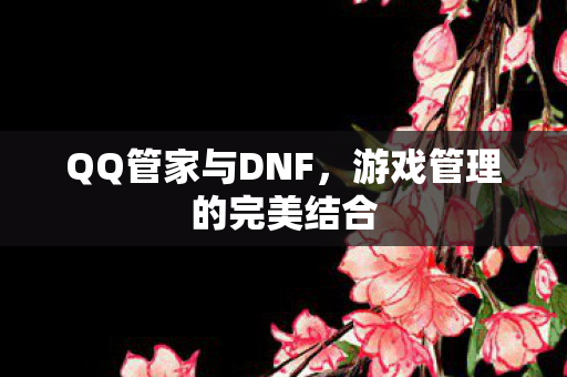 QQ管家与DNF，游戏管理的完美结合