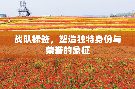 战队标签，塑造独特身份与荣誉的象征