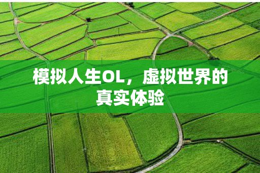 模拟人生OL，虚拟世界的真实体验