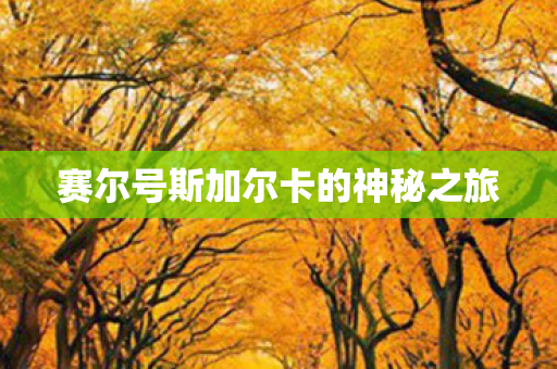 赛尔号斯加尔卡的神秘之旅