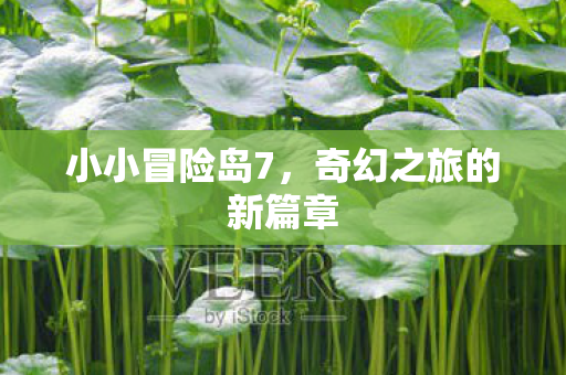 小小冒险岛7，奇幻之旅的新篇章