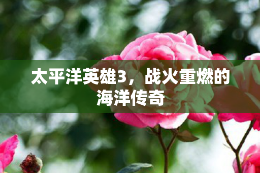 太平洋英雄3，战火重燃的海洋传奇