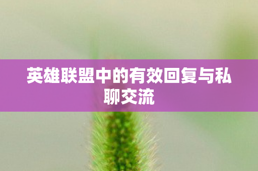 英雄联盟中的有效回复与私聊交流 英雄联盟中的有效回复与私聊交流