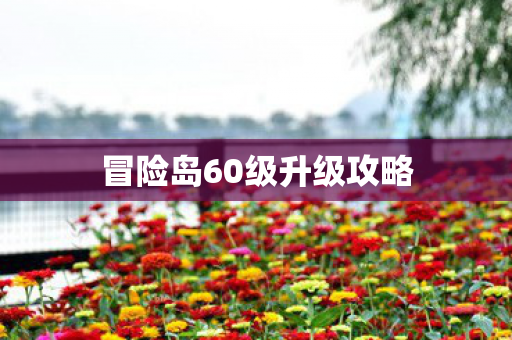 冒险岛60级升级攻略