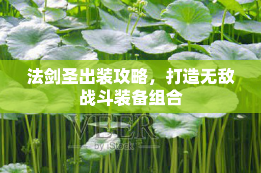 法剑圣出装攻略，打造无敌战斗装备组合