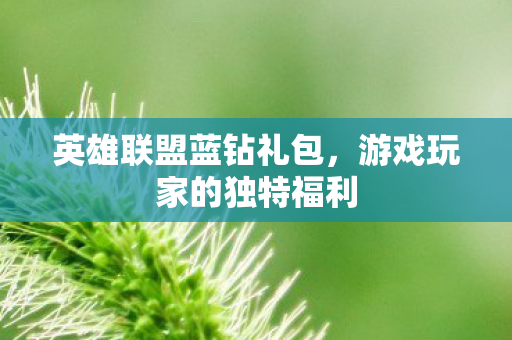 英雄联盟蓝钻礼包，游戏玩家的独特福利