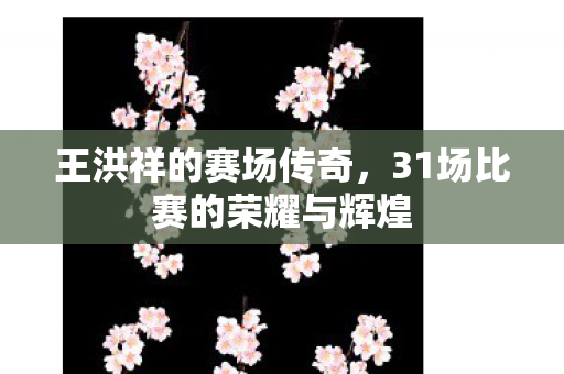 王洪祥的赛场传奇，31场比赛的荣耀与辉煌