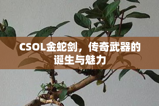 CSOL金蛇剑,传奇武器的诞生与魅力 CSOL金蛇剑,传奇武器的诞生与魅力