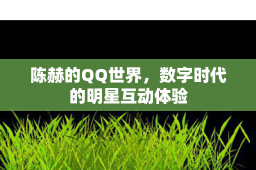 陈赫的QQ世界，数字时代的明星互动体验