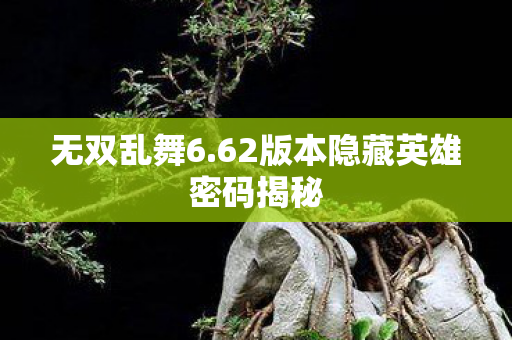 无双乱舞6.62版本隐藏英雄密码揭秘