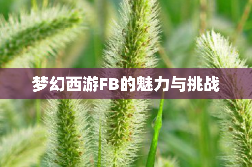 梦幻西游FB的魅力与挑战