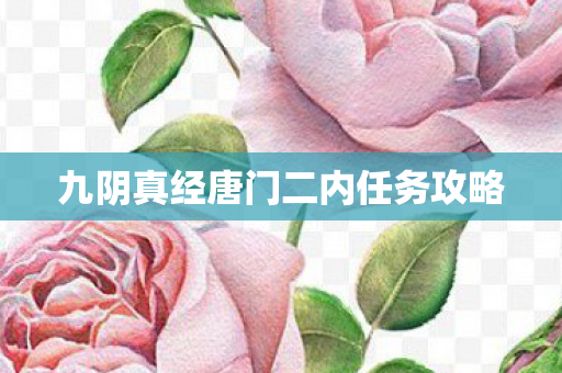 九阴真经唐门二内任务攻略