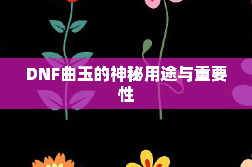 DNF曲玉的神秘用途与重要性