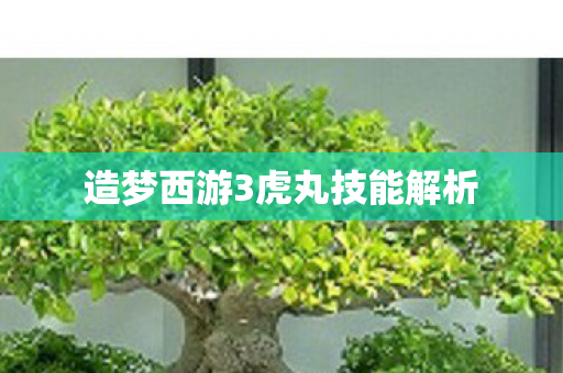 造梦西游3虎丸技能解析