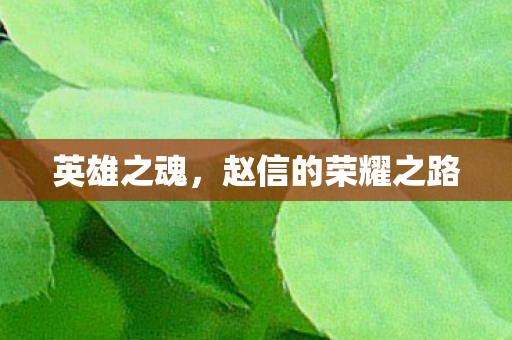 英雄之魂,赵信的荣耀之路 英雄之魂,赵信的荣耀之路