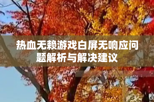 热血无赖游戏白屏无响应问题解析与解决建议