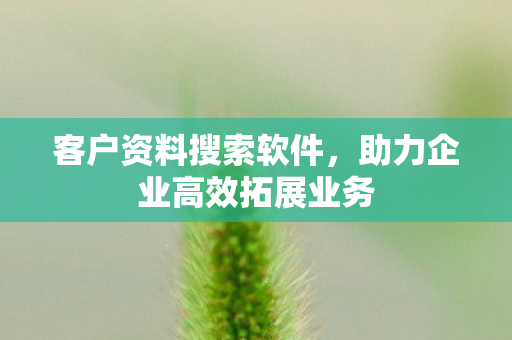 客户资料搜索软件，助力企业高效拓展业务