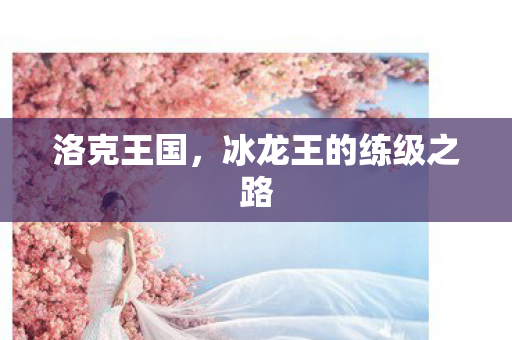 洛克王国，冰龙王的练级之路