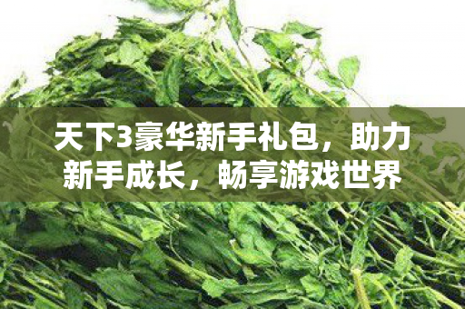 天下3豪华新手礼包，助力新手成长，畅享游戏世界
