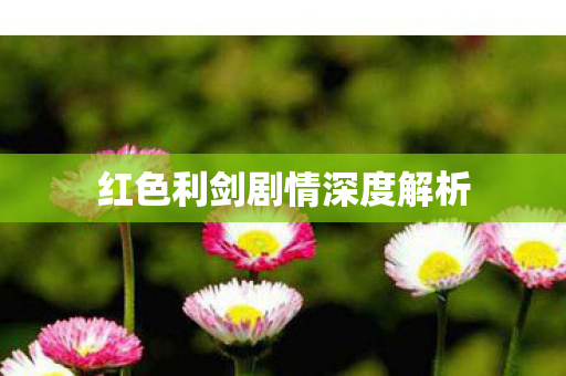 红色利剑剧情深度解析
