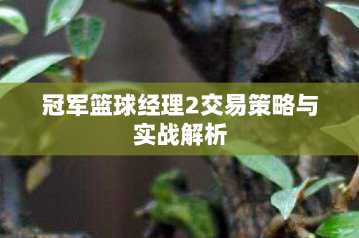 冠军篮球经理2交易策略与实战解析