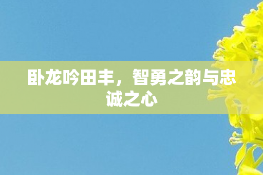 卧龙吟田丰,智勇之韵与忠诚之心 卧龙吟田丰,智勇之韵与忠诚之心