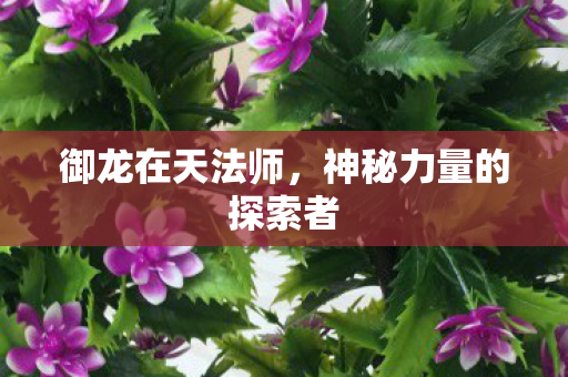 御龙在天法师，神秘力量的探索者