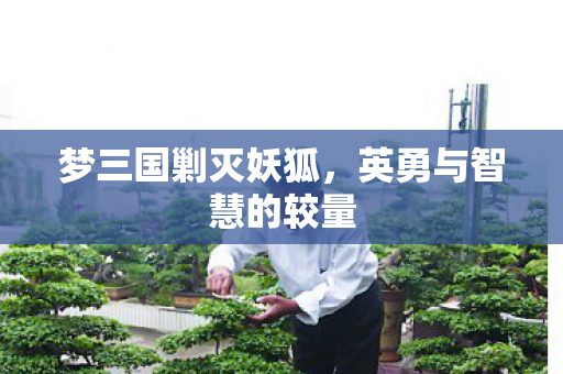 梦三国剿灭妖狐，英勇与智慧的较量