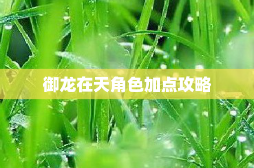 御龙在天角色加点攻略