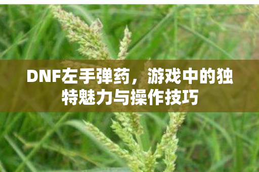 DNF左手弹药，游戏中的独特魅力与操作技巧