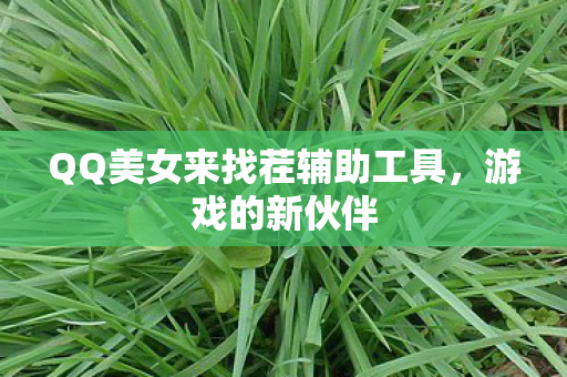QQ美女来找茬辅助工具，游戏的新伙伴