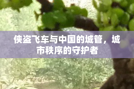 侠盗飞车与中国的城管，城市秩序的守护者