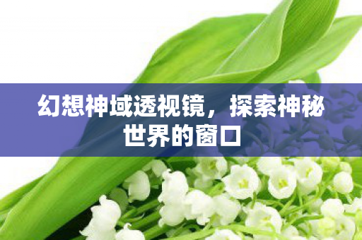 幻想神域透视镜,探索神秘世界的窗口 幻想神域透视镜,探索神秘世界的窗口